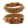 Bronze Pet Collar with Pointed Rivet Detailing Bold and Edgy Look