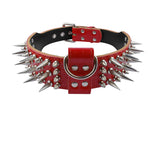 Dog Anti Bite Collar for Female M Size with Traction Rope Rivet Chain and Bully Pit Bull Design