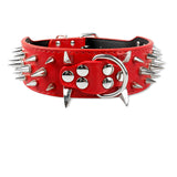 Dog Anti Bite Collar for Female M Size with Traction Rope Rivet Chain and Bully Pit Bull Design